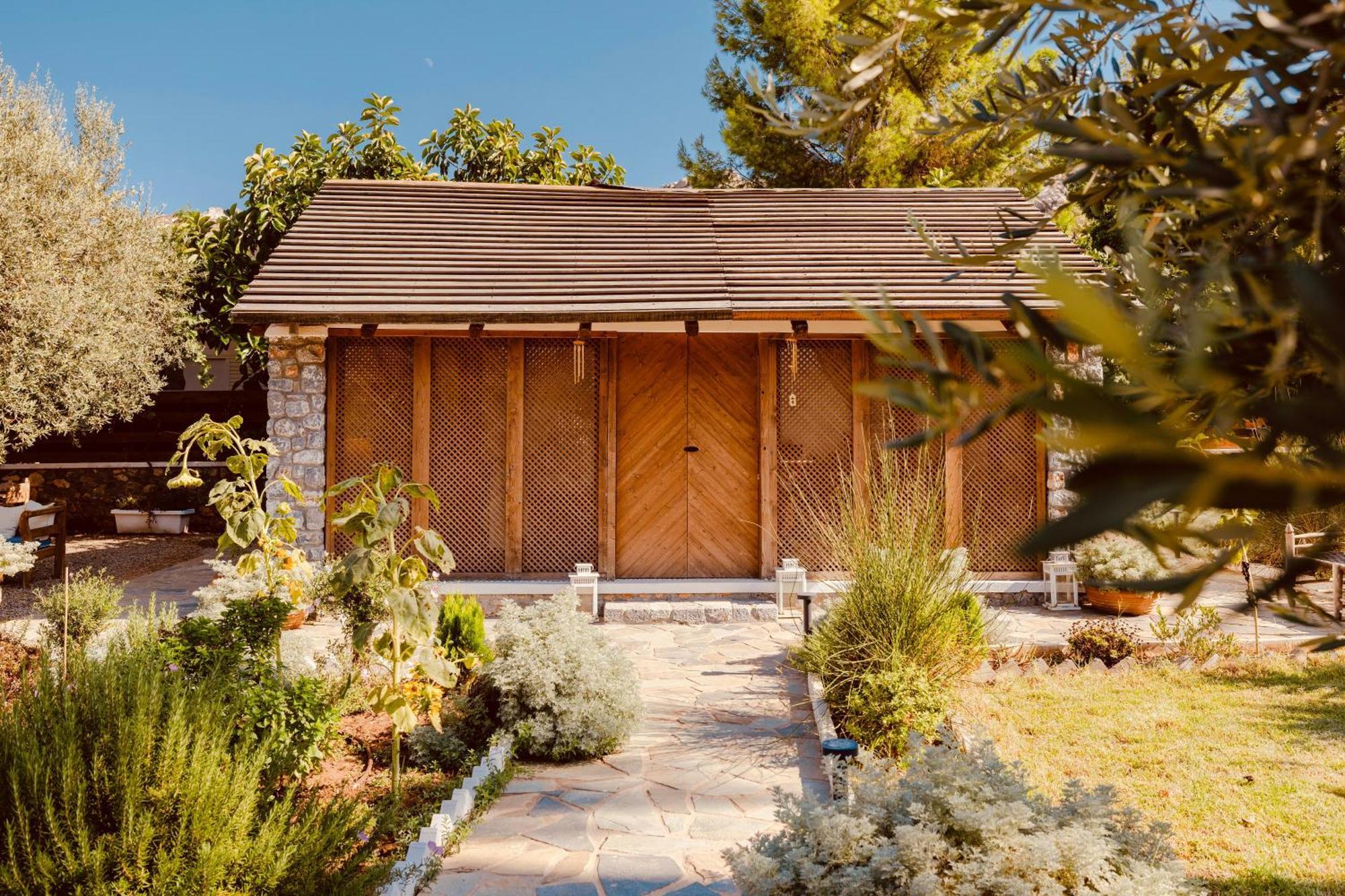 Caesars Gardens & - Adults Only Hotel 5*